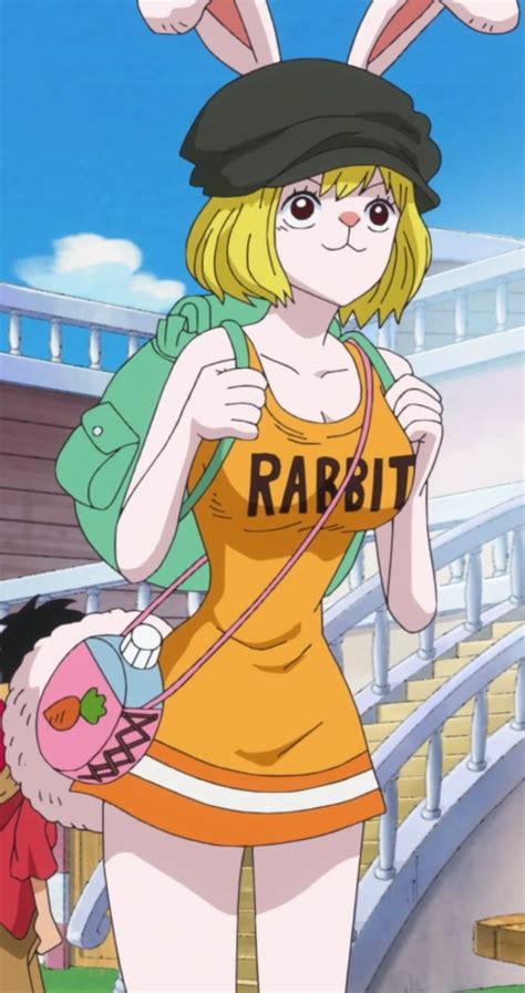 One Piece Carrot Hentai Animation Compilation